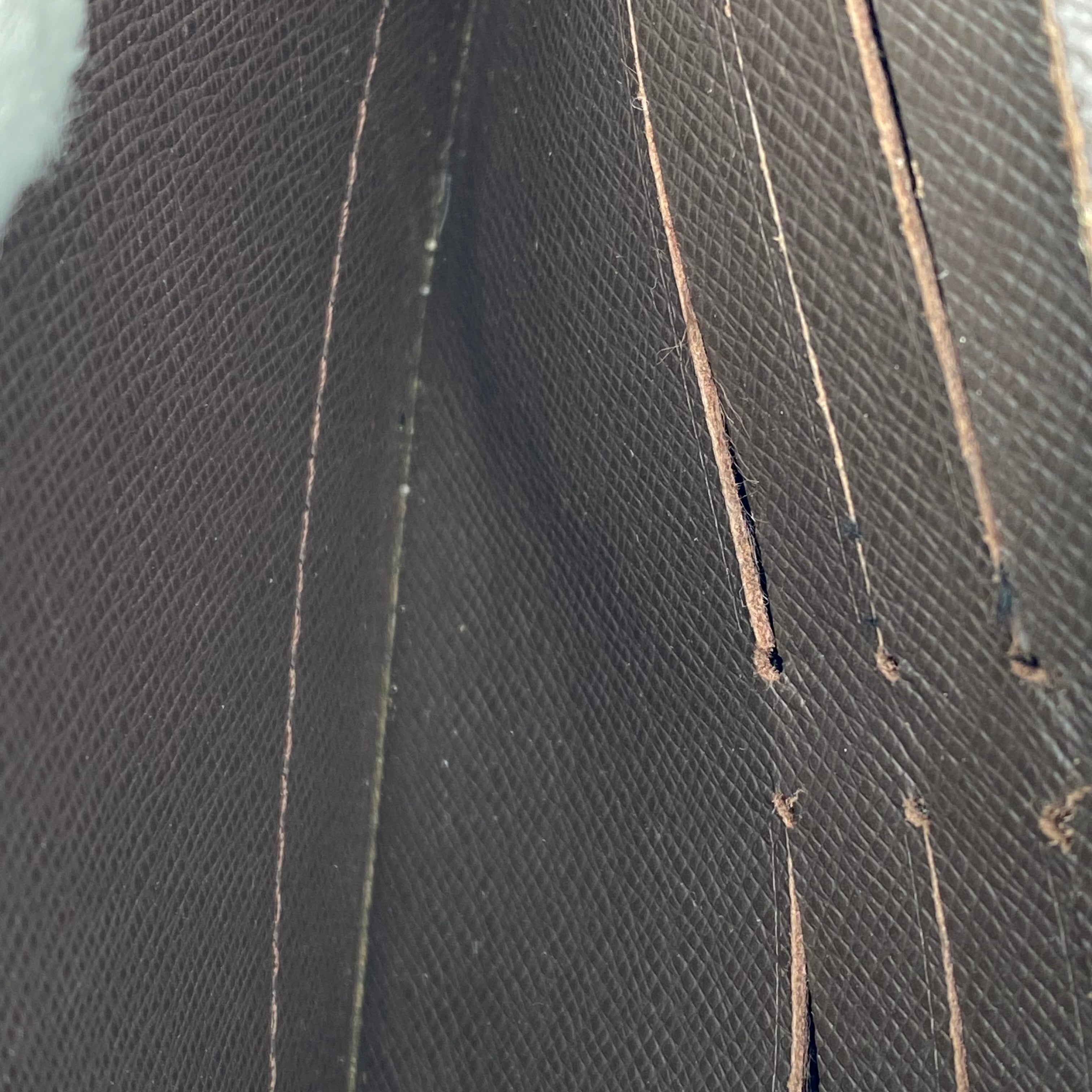 Portefeuille Louis Vuitton Accordéon Damier Ébène  full set