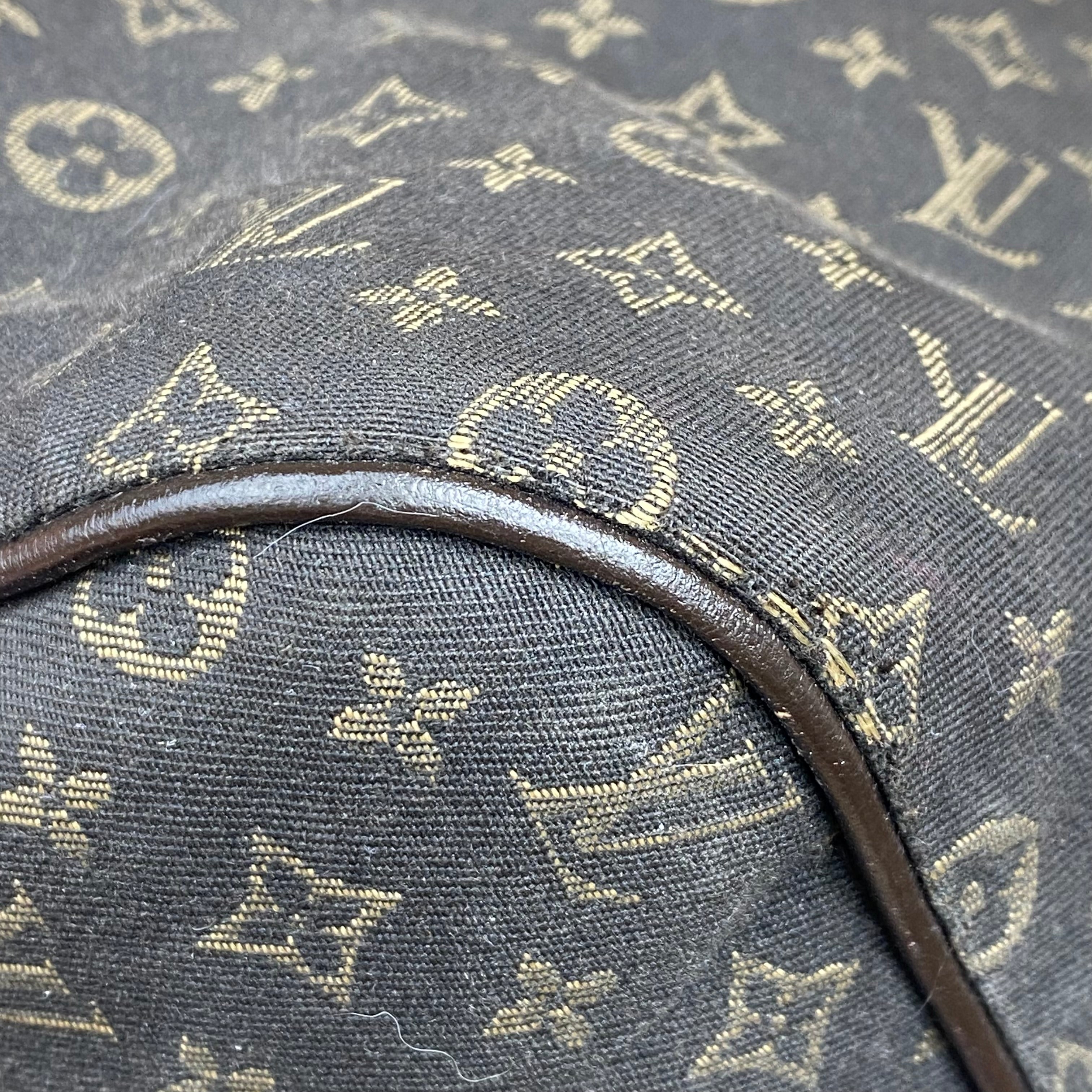 Louis Vuitton Neverfull PM — Collection Idylle Lin