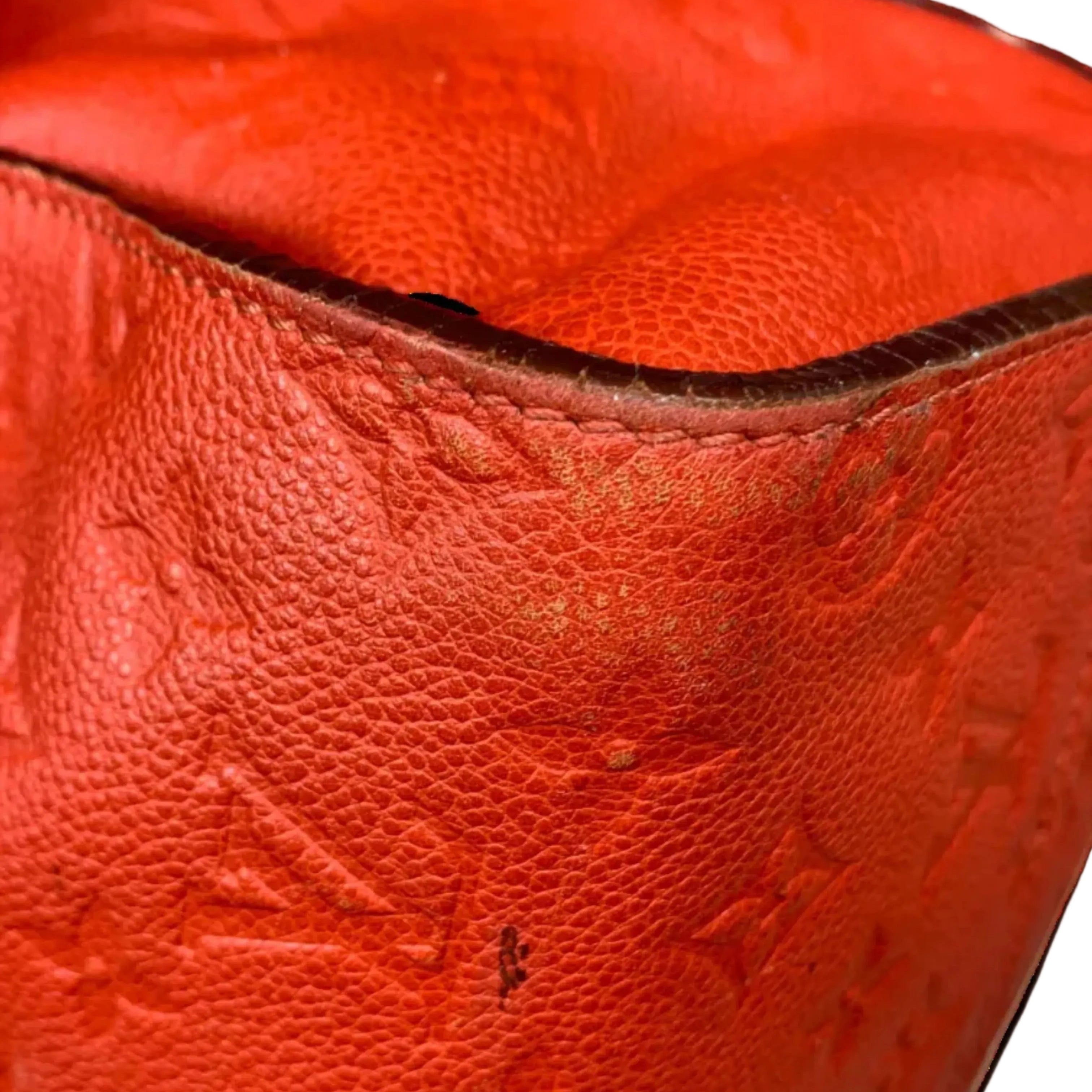Zoom sur les signes d'usure des coins et les craquelures sur les teintures de tranche du sac Louis Vuitton Lumineuse.